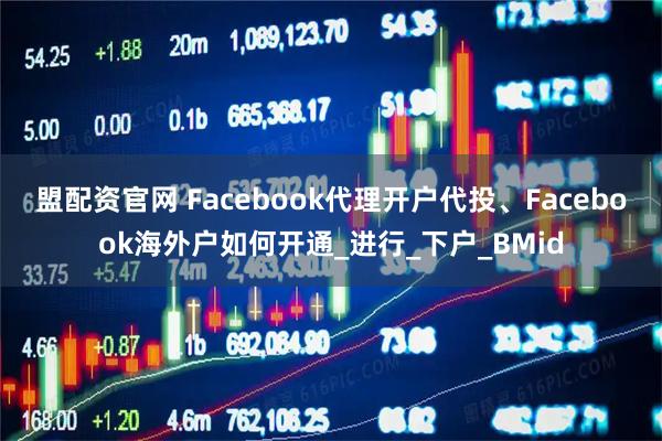 盟配资官网 Facebook代理开户代投、Facebook海外户如何开通_进行_下户_BMid