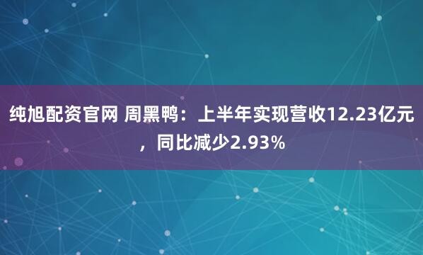 纯旭配资官网 周黑鸭：上半年实现营收12.23亿元，同比减少2.93%